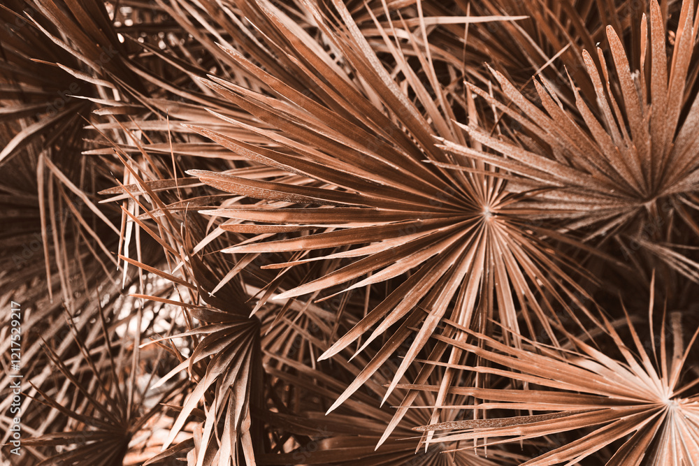 Beautiful tropical leaves, toned in mocha mousse shade. Trendy color of 2025 year Beautiful tropical leaves, toned in mocha mousse shade. Trendy color of 2025 year