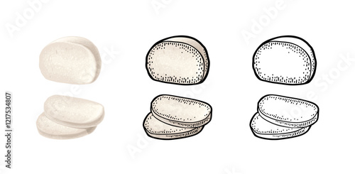 Mozzarella cheese half and slices. Vector color vintage engraving illustration isolated on white background.