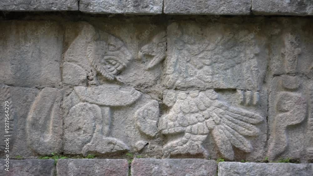 Representation of animals in Mayan glyphs, Chichen Itza, Yucatan, Mexico Representation of animals in Mayan glyphs, Chichen Itza, Yucatan, Mexico