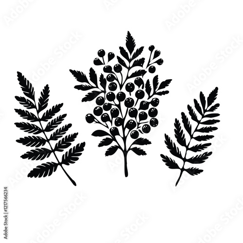 Illustrator Artwork Set of Hand drawn currant branch with berries leaves, black and white Plant illustration in sketch style Blueberry berry art. Botanical illustrations Floral Branches Rowan drawing