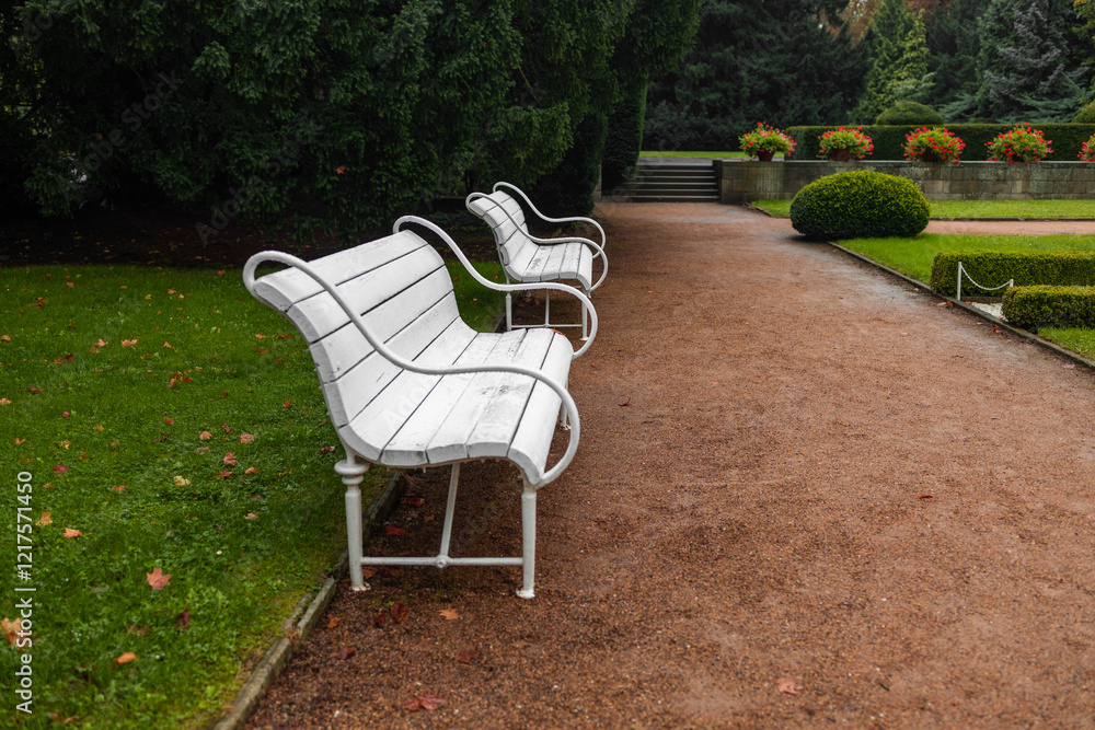 An iron bench, carefully painted and clean, is placed in the park for people to sit and rest. High quality photo An iron bench, carefully painted and clean, is placed in the park for people to sit and rest. High quality photo