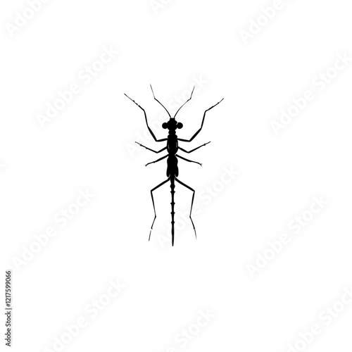 Stonefly Insect Vector Logo Design