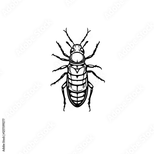 Cockroach Vector Logo Design