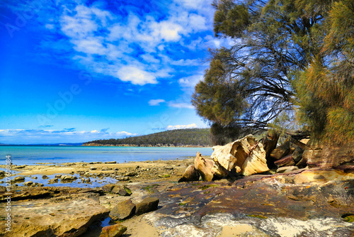 Rocky coast with blue bay and casuarina tree (she-oak) on a sunny summer day at Lime Bay State Reserve, Tasman Peninsula, Tasmania, Australia 
 photo