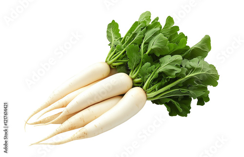 A bunch of white radishes, daikon mooli radish, indian radish, isolated on transparent png background