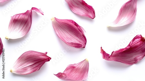 Wallpaper Mural Pink flower petals arranged on a white background with Copy Space for design use Torontodigital.ca