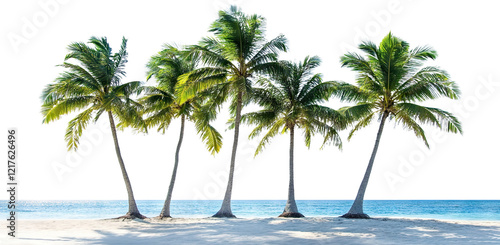 Fototapeta Naklejka Na Ścianę i Meble -  Tropical beach with palm trees and ocean view, isolated on transparent cutout background