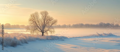 Serene winter landscape bathed in golden sunlight featuring a lone tree and ample space for text or graphic overlay