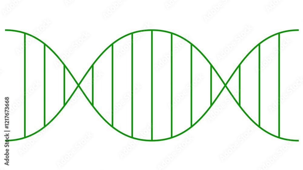 Animated line green icon of gene. Linear medical symbol is drawn. Concept of DNA, genetics, medicine, genetic engineering. Looped video. Vector illustration isolated on white background. Animated line green icon of gene. Linear medical symbol is drawn. Concept of DNA, genetics, medicine, genetic engineering. Looped video. Vector illustration isolated on white background.