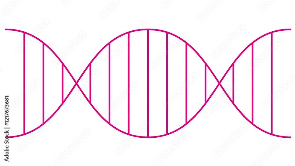 Animated line magenta icon of gene. Linear medical pink symbol is drawn. Concept of DNA, genetics, medicine, genetic engineering. Looped video. Vector illustration isolated on white background. Animated line magenta icon of gene. Linear medical pink symbol is drawn. Concept of DNA, genetics, medicine, genetic engineering. Looped video. Vector illustration isolated on white background.
