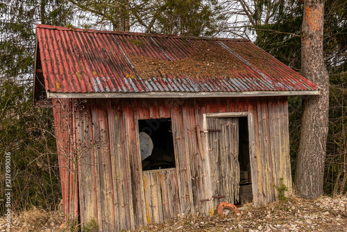 The cottage in Swidish countryside photo