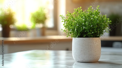 Green potted plant positioned on a marble kitchen counter bathed in natural l...
