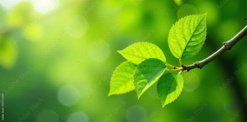 Fresh green leaves unfolding from bare tree branches, foliage emergence, nature renewal, verdant renewal Fresh green leaves unfolding from bare tree branches, foliage emergence, nature renewal, verdant renewal