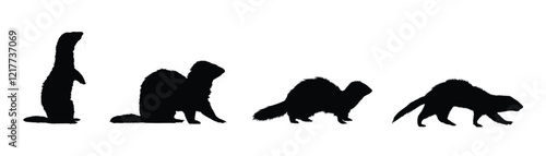 Set of Ferret silhouette