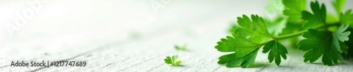 Fresh parsley leaves on a white surface with a subtle texture effect, herb, leafy