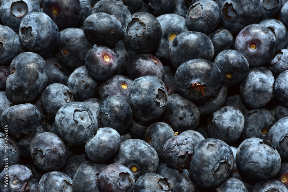 Fresh juicy bilberries all over the screen top view. Background of close up bilberries. Fresh juicy bilberries all over the screen top view. Background of close up bilberries.