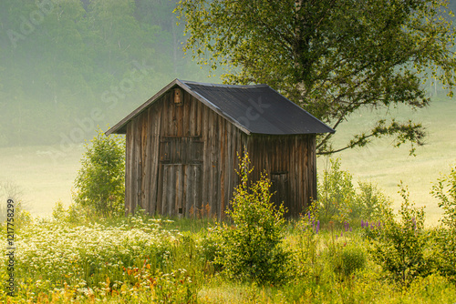 The cottage in Swidish countryside photo