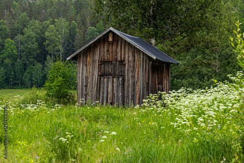 The cottage in Swidish countryside photo