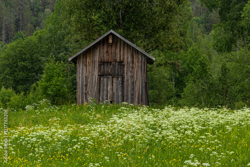 The cottage in Swidish countryside photo