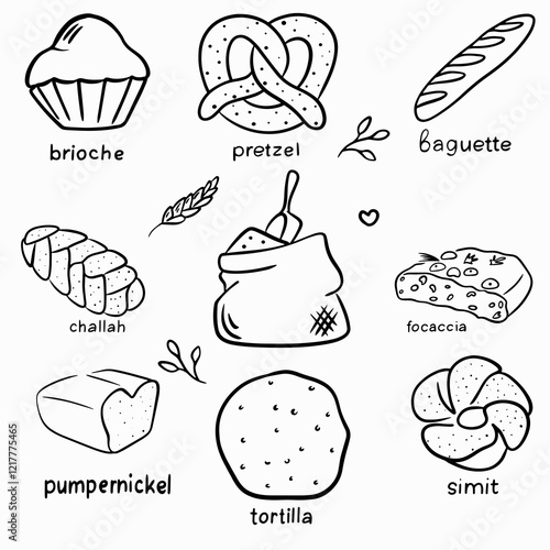 Vector set of different types of bread in doodle style with a bag of flour, bread of different nations, multinational cuisine: brioche, pretzel, baguette, focaccia, challah, tortilla, simit, pumpernic