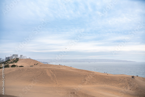 Fototapeta Naklejka Na Ścianę i Meble -  Vista de Las dunas de Concón, Chile