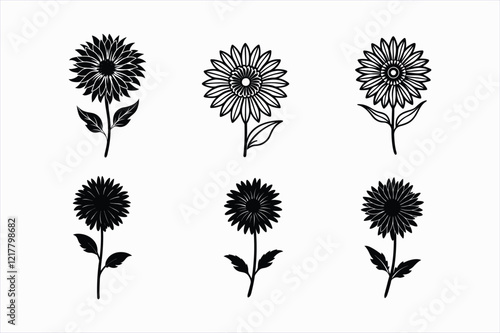 Set of gaillardia flower vector illustration