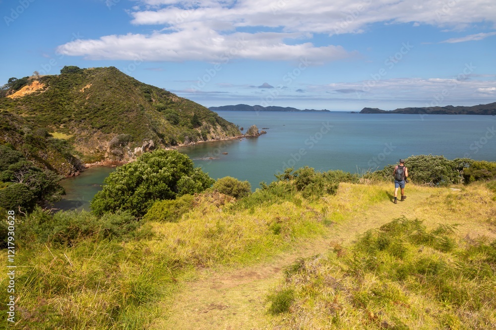 Hiker enjoys coastal views. Man with backpack walks trail, overlooking a bay. Scenic New Zealand landscape. Mahinepua Peninsula, Kaeo, Northland, NZ Hiker enjoys coastal views. Man with backpack walks trail, overlooking a bay. Scenic New Zealand landscape. Mahinepua Peninsula, Kaeo, Northland, NZ