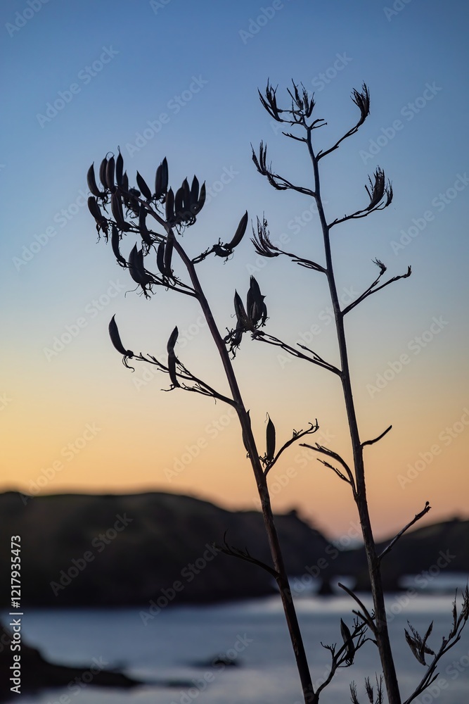 Fototapeta premium Silhouette of a New Zealand flax plant at sunset. Nature's beauty in the twilight. , Matauri Bay, Northland, NZ