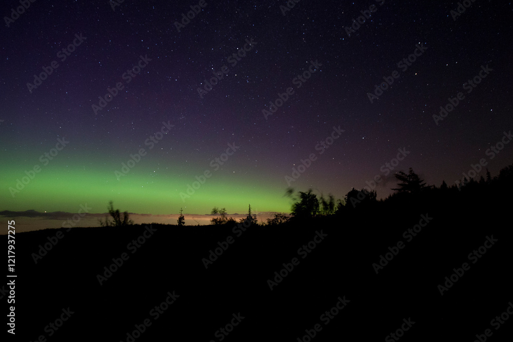 The Northern Lights on Vancouver Island, a rare sight there. The Northern Lights on Vancouver Island, a rare sight there.
