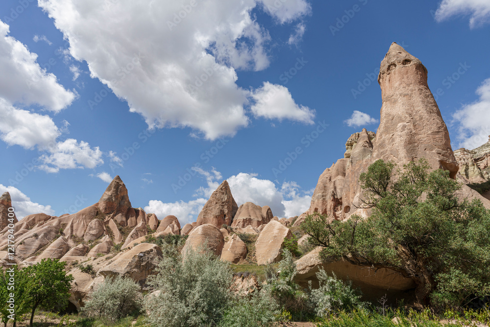 Fototapeta premium Turkey - Cappadocia - Rose Valley