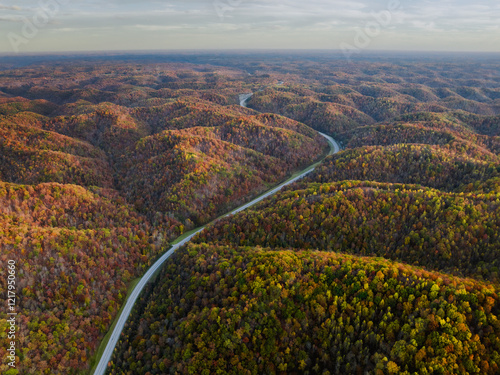 Road passing rolling hills of Kentucky 