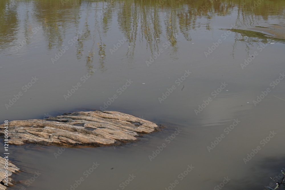 River water flowing through stones and rocks. Mountain river flows through green forest. Wild river flowing through the mountain. River water flowing through stones and rocks. Mountain river flows through green forest. Wild river flowing through the mountain.