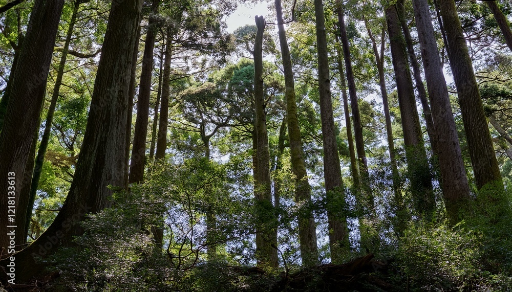 Obraz premium The vibrant ecosystem flourishes in harmony. 