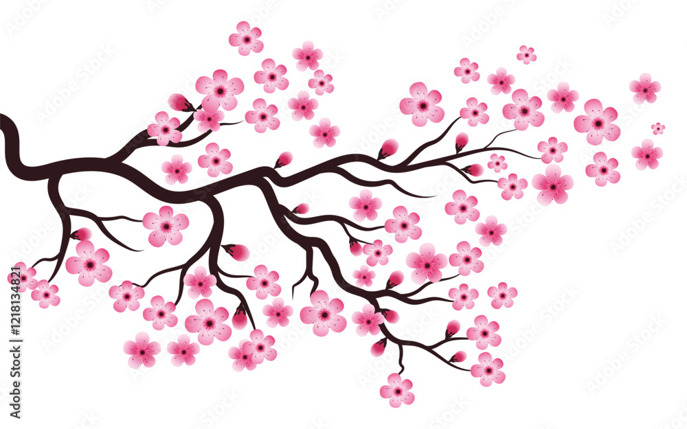Sakura Beauty flower Vector icon illustration design Sakura Beauty flower Vector icon illustration design