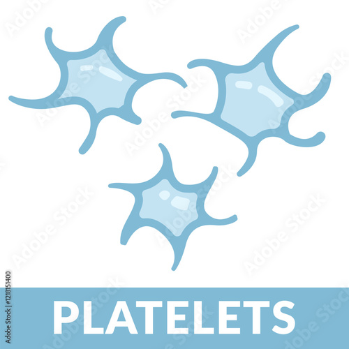 Set of Platelet cells. Thrombocytes. Vector illustration