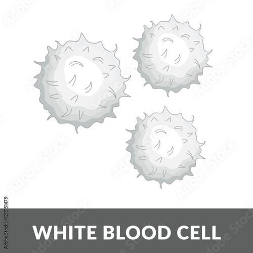 White blood cells Illustration Design vector