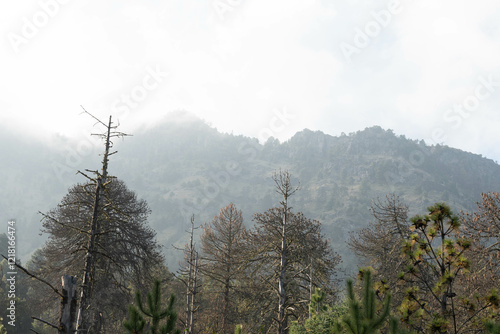 Nevado de colima photo