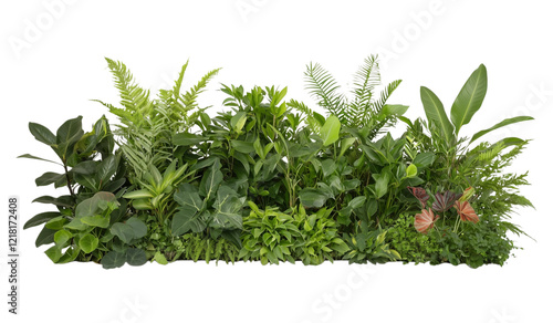 Vertical Green Wall with Lush Tropical Plants