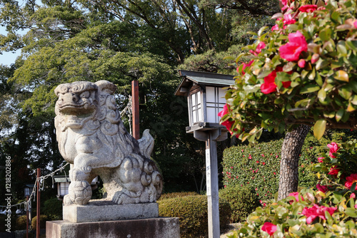 成海神社、狛犬とさざんか photo