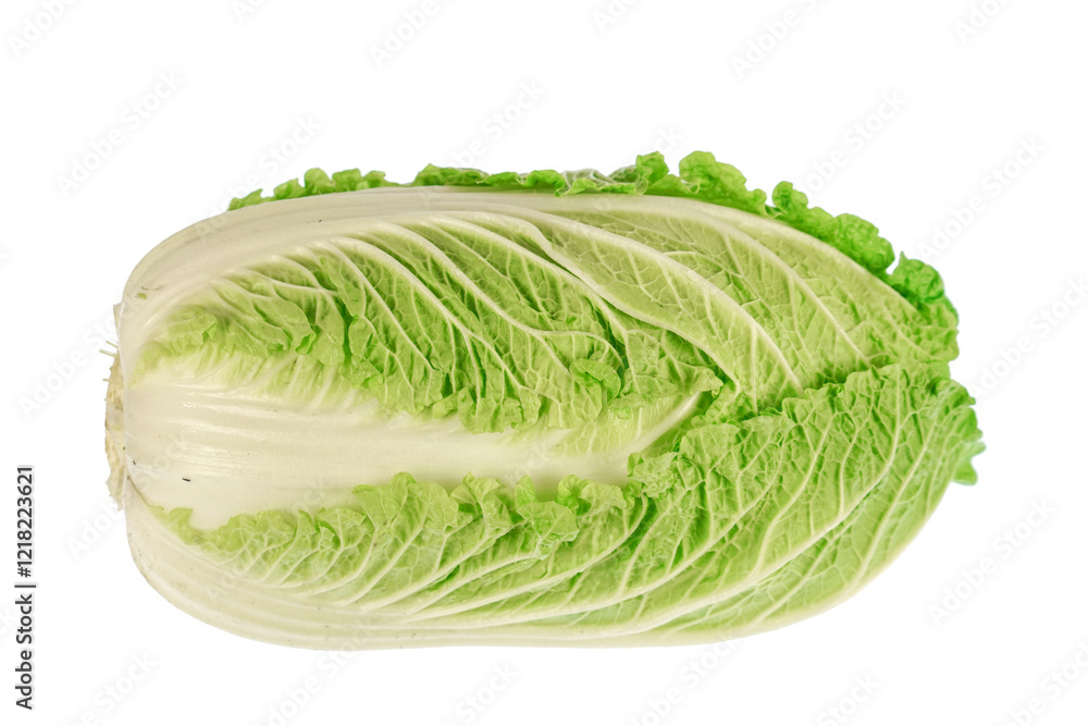 fresh Chinese cabbage isolated on white background fresh Chinese cabbage isolated on white background