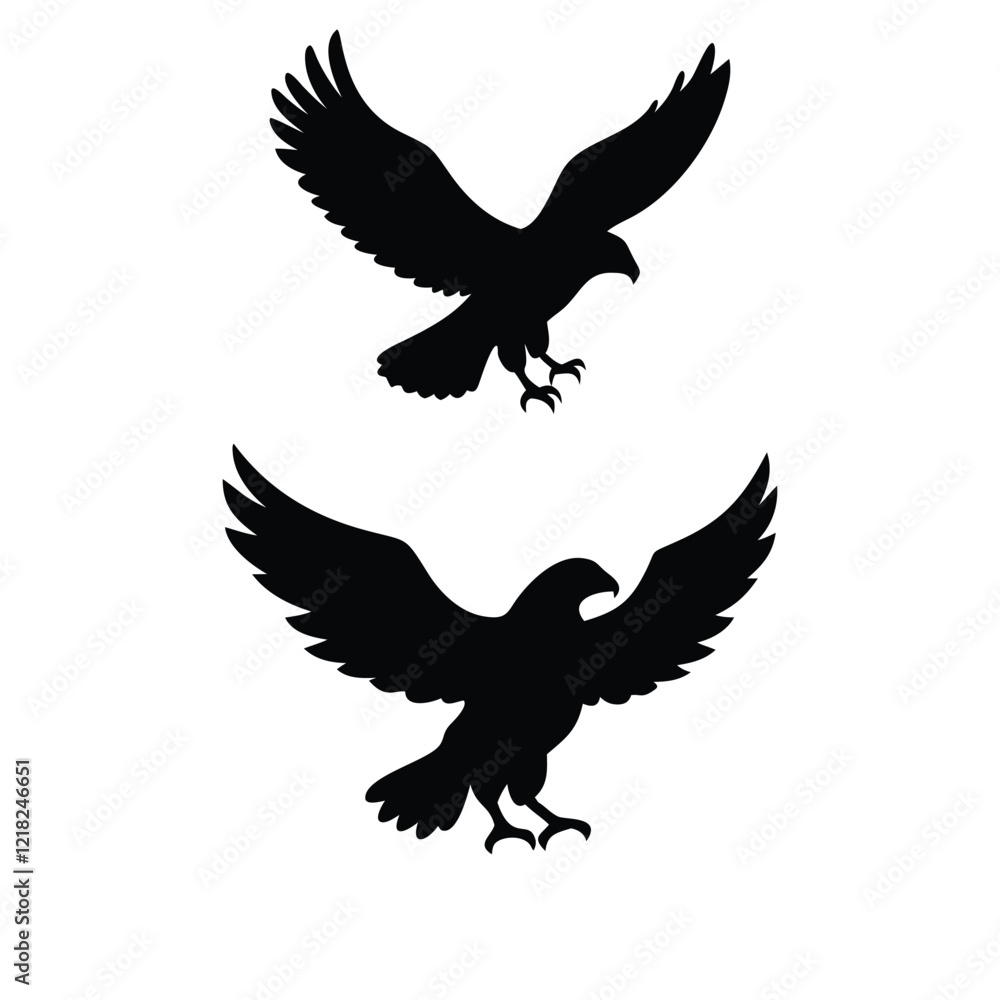 Fototapeta premium A silhouette of black hawk soaring bird with outspread wings