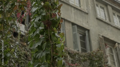 Greek Apartments and Balconies in Rainy Weather in Thessaloniki, Greece. photo