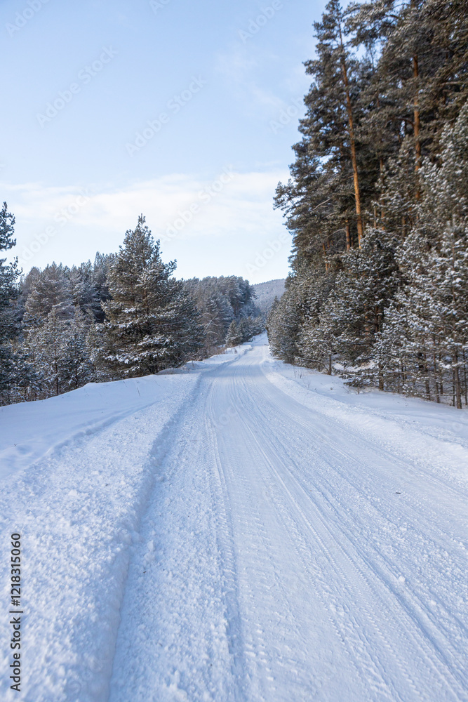 Fototapeta premium The beauty of the winter frosty snow-covered forest