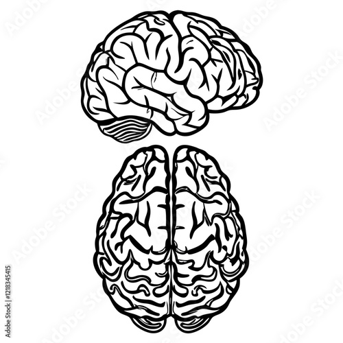 Brain silhouette vector illustration (2)