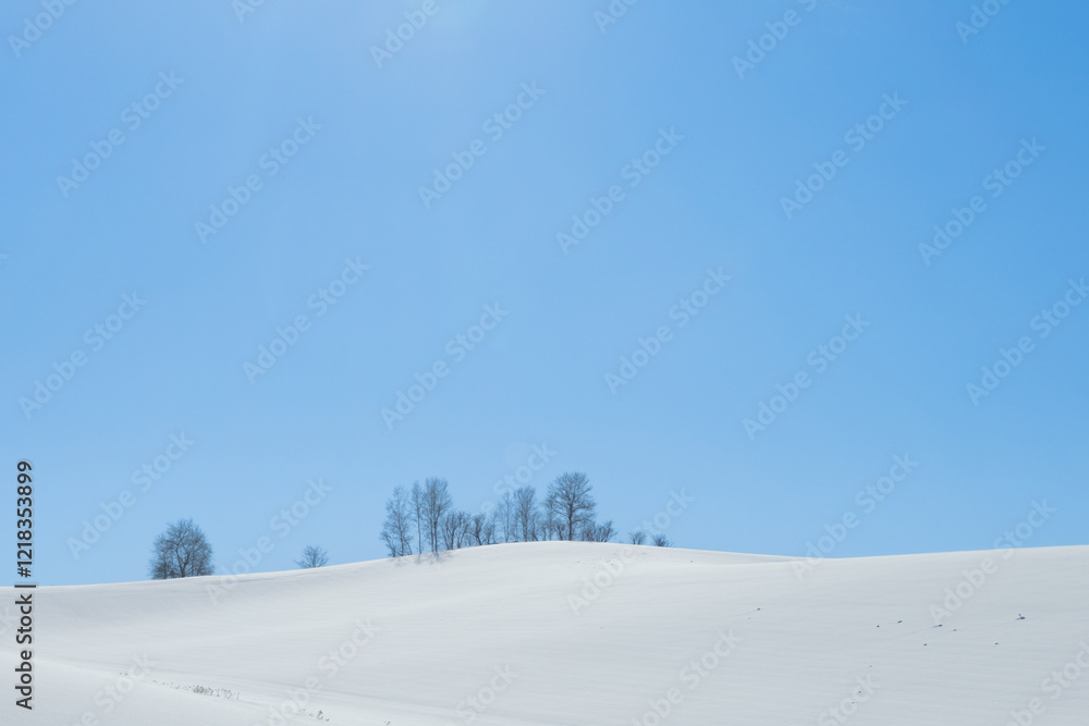 Obraz premium 北海道冬の美瑛の風景10