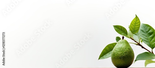 Wallpaper Mural Avocado plant with green fruit on a tree branch positioned on the right with vibrant green leaves against a minimalist white background. Torontodigital.ca