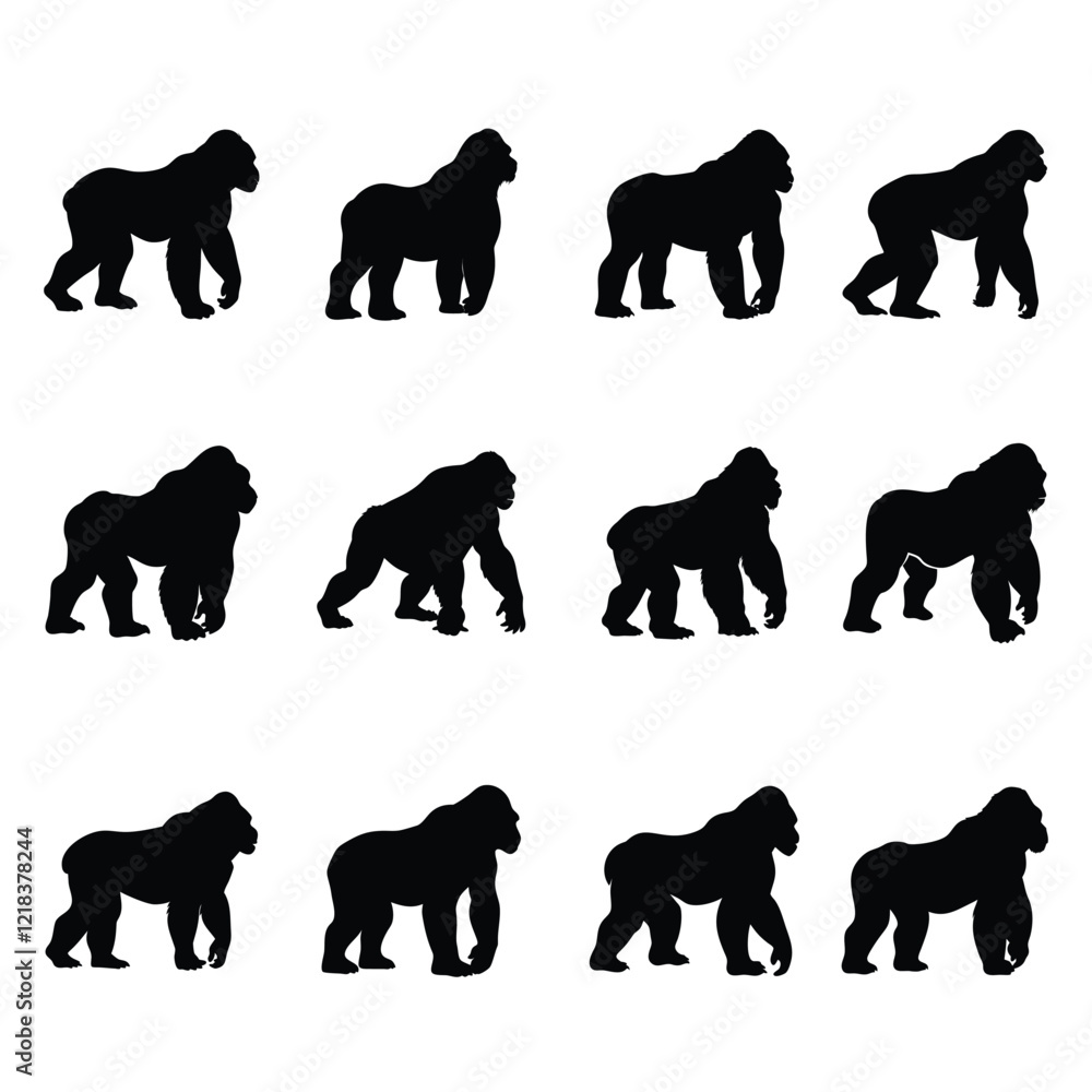 Naklejka premium A set of gorilla vector silhouette