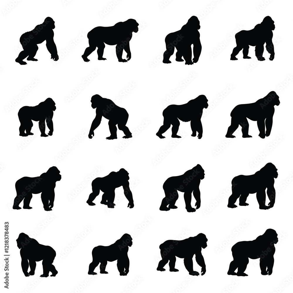 Obraz premium A set of gorilla vector silhouette