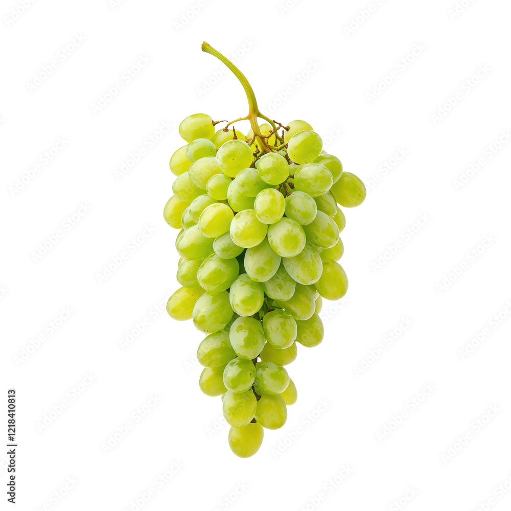 Full Length Isolated Green Grapes on White Background Full Length Isolated Green Grapes on White Background