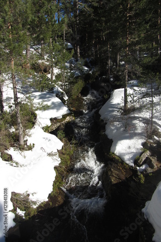 pico urbion photo